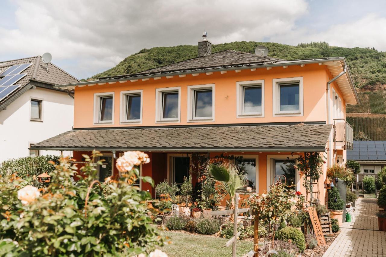 Wein- Und Gaestehaus Schwaab&Sohn Erden Exteriér fotografie