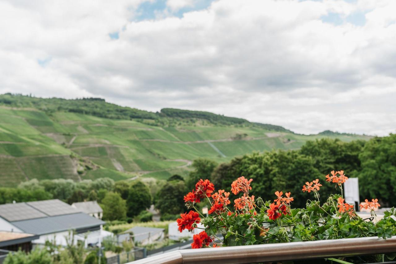 Wein- Und Gaestehaus Schwaab&Sohn Erden Exteriér fotografie