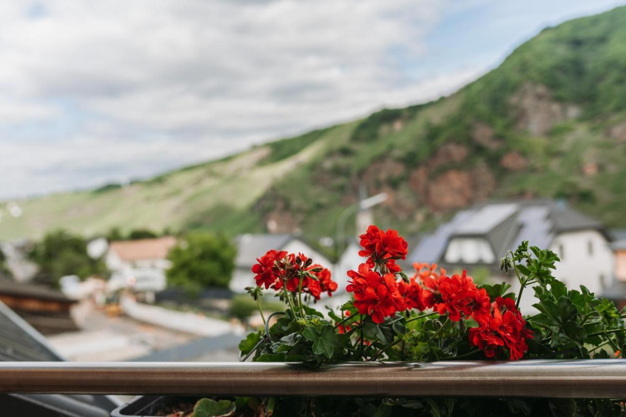 Wein- Und Gaestehaus Schwaab&Sohn Erden Exteriér fotografie